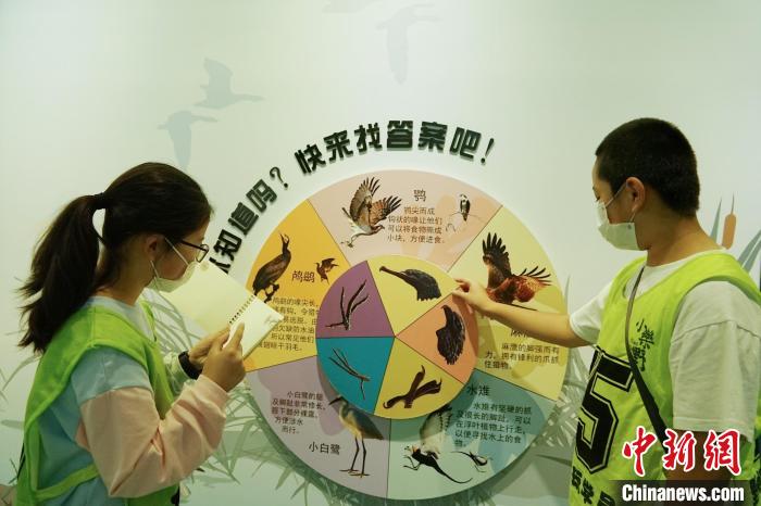 圖為小朋友在青海西寧湟水國家濕地公園科普館內(nèi)參觀學(xué)習(xí)。　馬銘言 攝