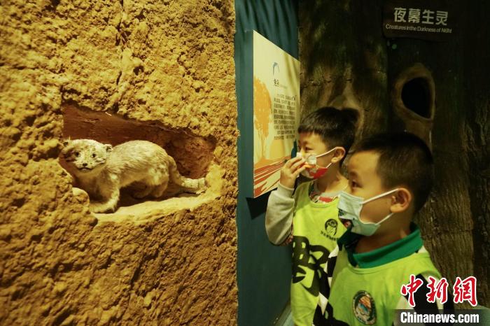 圖為小朋友在青海西寧湟水國家濕地公園科普館內(nèi)參觀學(xué)習(xí)?！●R銘言 攝