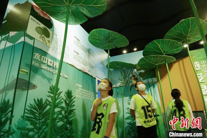 圖為小朋友在青海西寧湟水國家濕地公園科普館內(nèi)參觀學(xué)習(xí)?！●R銘言 攝