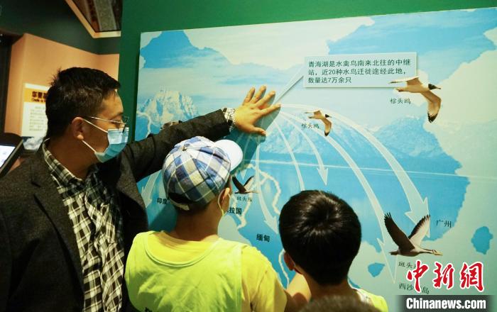 圖為小朋友在青海西寧湟水國家濕地公園科普館內(nèi)參觀學(xué)習(xí)。　馬銘言 攝