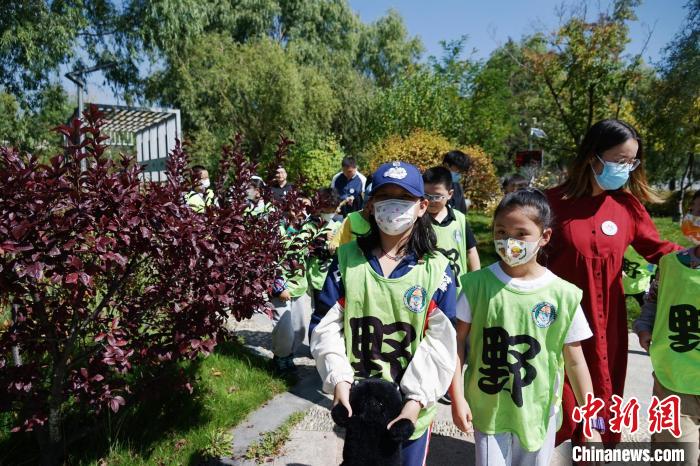 圖為小朋友在青海西寧湟水國家濕地公園內(nèi)認(rèn)識(shí)植物?！●R銘言 攝
