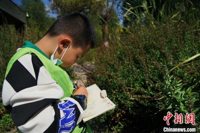 圖為小朋友在青海西寧湟水國家濕地公園內(nèi)認(rèn)識(shí)植物并進(jìn)行繪畫?！●R銘言 攝