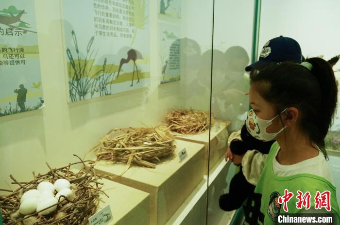 圖為小朋友在青海西寧湟水國家濕地公園科普館內(nèi)參觀學(xué)習(xí)?！●R銘言 攝