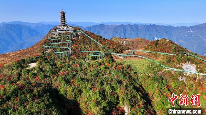 巴山大峽谷彩林迎來(lái)最佳觀(guān)賞期?！∫κ?攝