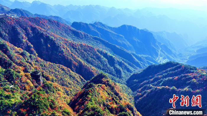 巴山大峽谷彩林迎來(lái)最佳觀(guān)賞期。　張平 攝