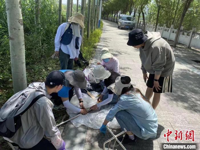 圖為科研人員正在進(jìn)行監(jiān)測(cè)?！∥鲗庝宜畤?guó)家濕地公園供圖