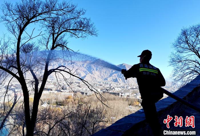 12月6日，布達(dá)拉宮消防救援大隊(duì)在布達(dá)拉宮山體林草區(qū)域開展?jié)窕ぷ?。　劉?攝