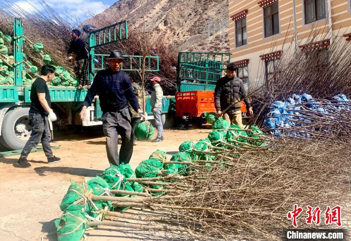 民眾搬運苗木?！〔际忻⒖悼h委宣傳部供圖