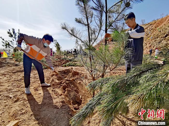圖為西寧市城東區(qū)義務(wù)植樹活動(dòng)現(xiàn)場(chǎng)。　張?zhí)砀?攝
