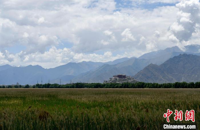圖為拉薩拉魯濕地。　李林 攝