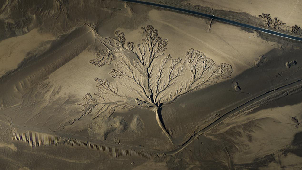 無人機(jī)視角下的西藏阿里地區(qū)改則縣“大地之樹”景觀。尼瑪多吉攝
