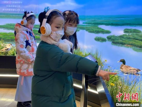 圖為學(xué)生在西寧市第一中學(xué)濕地科普宣教館內(nèi)參觀。　李江寧 攝