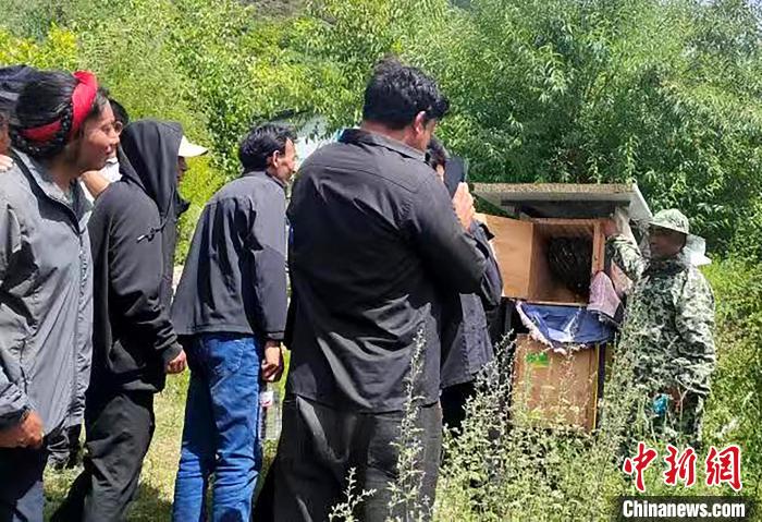 拉久西村村民學(xué)習(xí)養(yǎng)蜂工作流程和防范事項?！〔际忻⒖悼h委宣傳部供圖