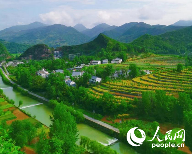 陜西商洛漫川關(guān)鎮(zhèn)民宿群。人民網(wǎng) 王麗攝
