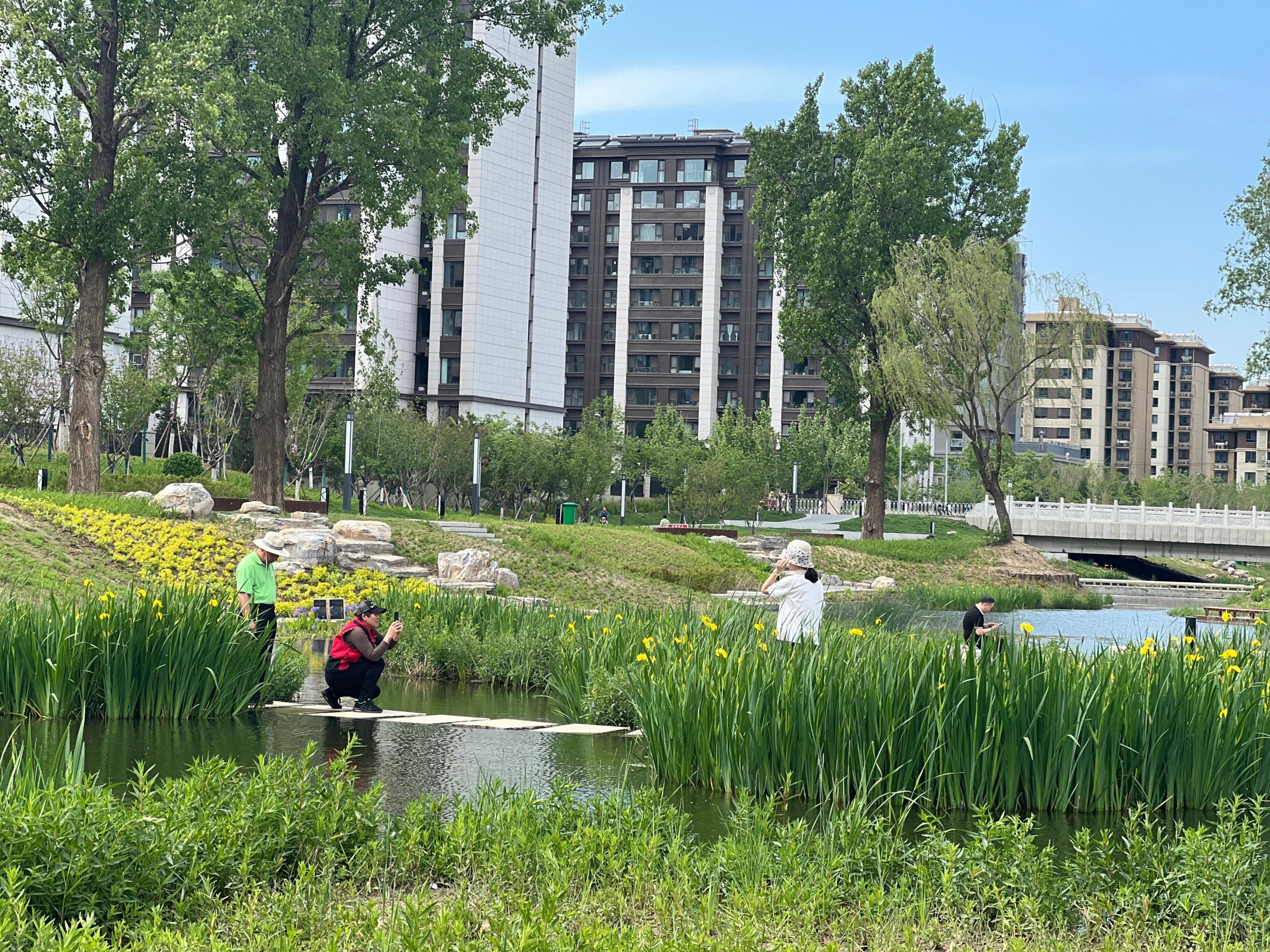 五一渠生態(tài)濱河公園內(nèi)，市民正在拍照留念。人民網(wǎng) 歐陽(yáng)易佳攝