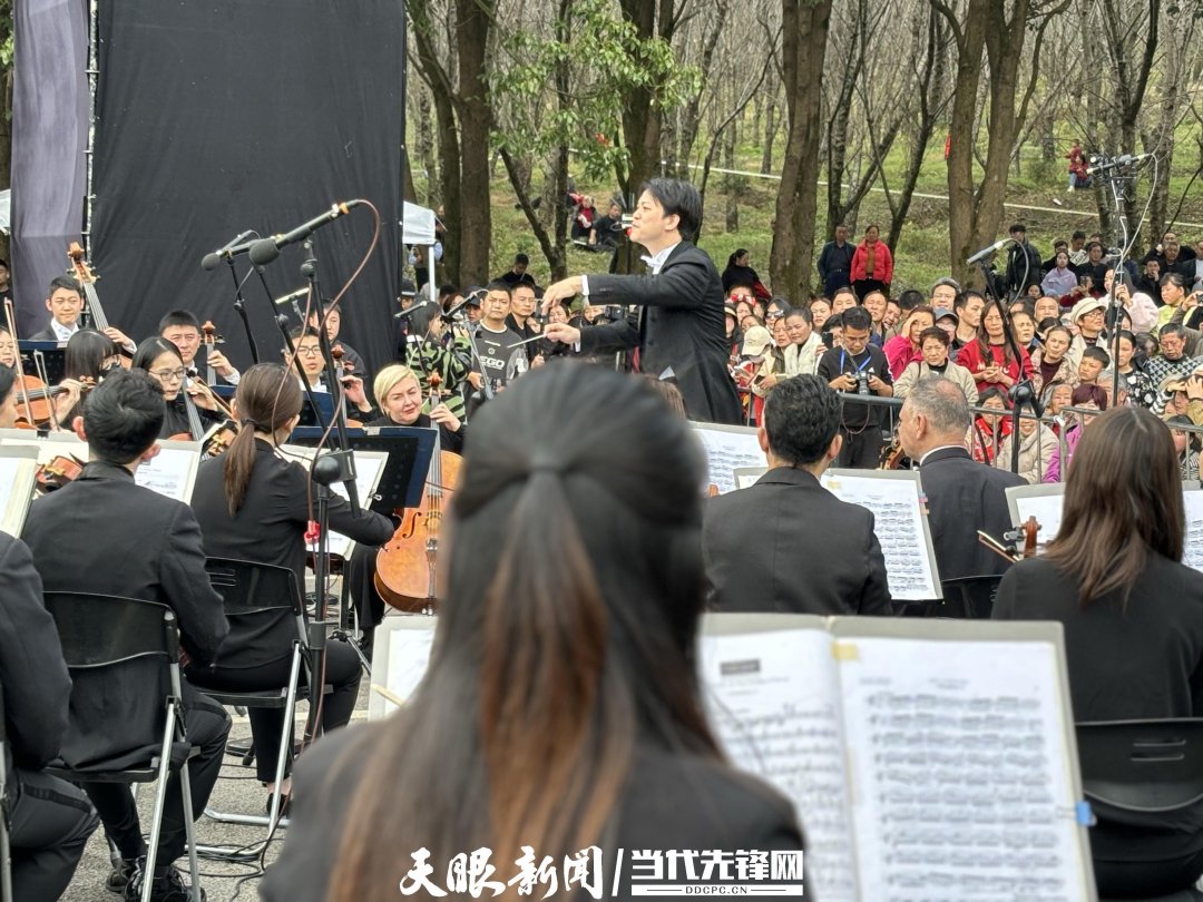 貴陽(yáng)路邊音樂(lè)會(huì)·貴安櫻花園專場(chǎng)交響樂(lè)現(xiàn)場(chǎng)。丁亞 文丹 攝