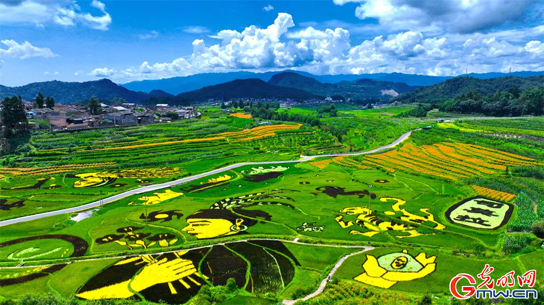 云南清水：延伸公共法律服務(wù)觸角，讓普法與民族團(tuán)結(jié)進(jìn)步互促共融