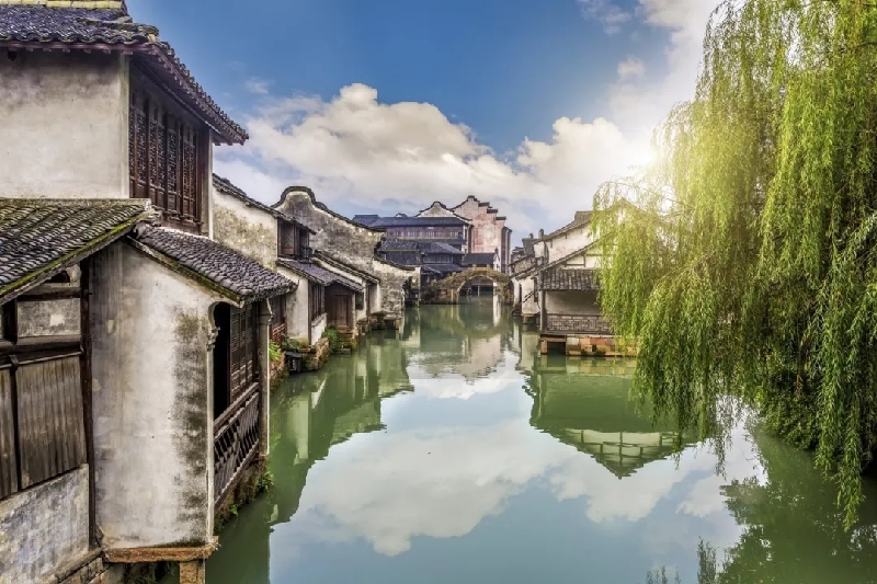 烏鎮(zhèn)動觀察｜這個字，牽起國際交流互鑒之紐帶