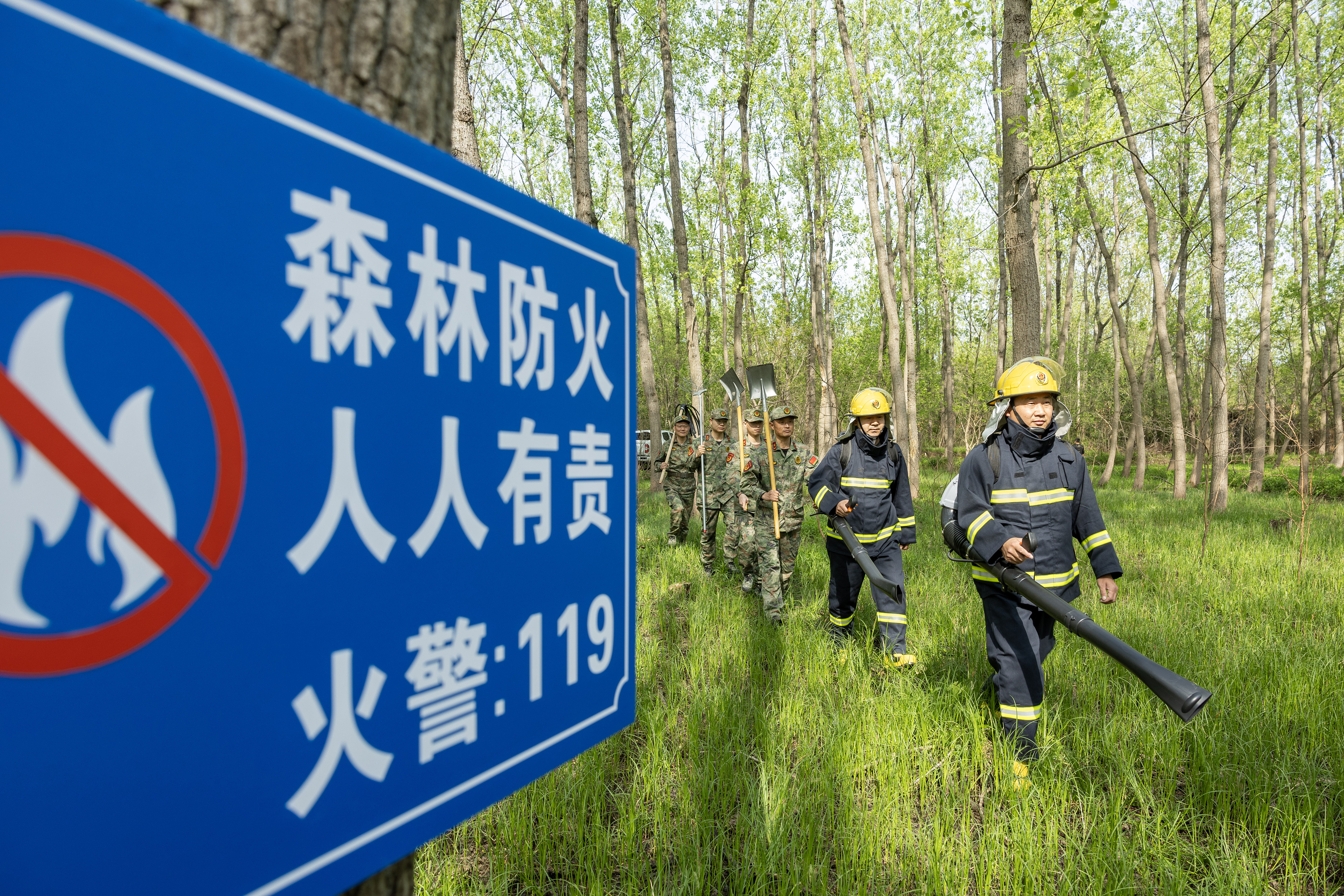 2024年4月9日，合肥市大房郢水庫水源保護地廬陽經(jīng)濟開發(fā)區(qū)段，基干民兵正在林間巡查火災(zāi)隱患。