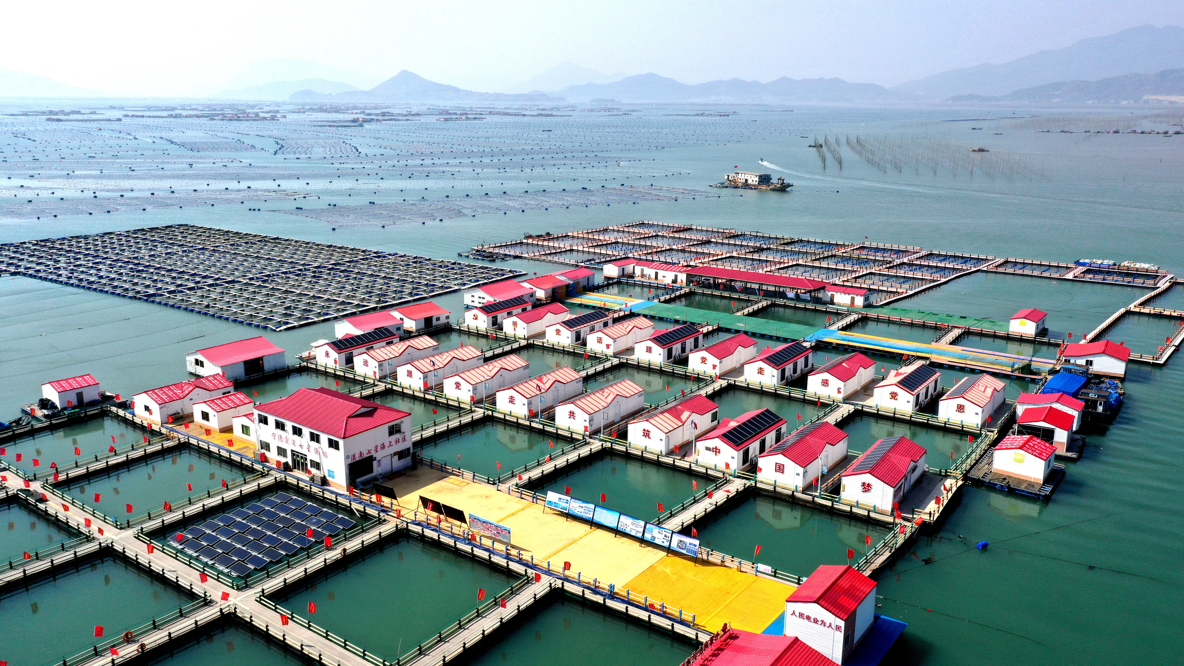 2024年3月20日，福建省寧德市，霞浦縣溪南鎮(zhèn)七星村漁排養(yǎng)殖示范區(qū)，漁民駕駛養(yǎng)殖船進(jìn)行海參養(yǎng)殖作業(yè)。