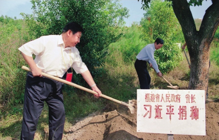 2001年10月，習近平在龍巖市長汀縣調研水土流失治理工作，在河田世紀生態(tài)園為樹培土。圖源：《習近平在福建（下）》