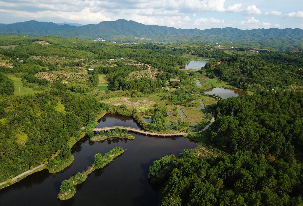 福建省龍巖市長汀縣的長汀汀江國家濕地公園景色（2020年7月28日攝，無人機照片）。新華社記者 魏培全 攝