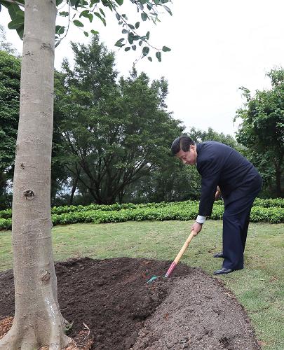 2012年12月7日至11日，習(xí)近平在廣東省考察工作。這是8日上午，習(xí)近平在深圳蓮花山公園種下一棵高山榕樹。新華社記者 蘭紅光 攝