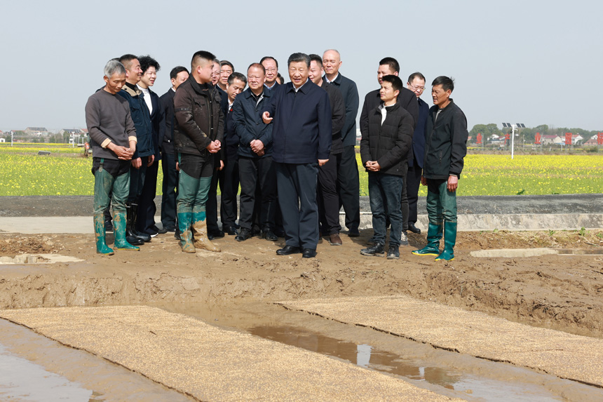 2024年3月18日至21日，中共中央總書記、國(guó)家主席、中央軍委主席習(xí)近平在湖南考察。這是19日下午，習(xí)近平在常德市鼎城區(qū)謝家鋪鎮(zhèn)港中坪村走進(jìn)田間，察看秧苗培育和春耕備耕進(jìn)展。新華社記者 王曄 攝