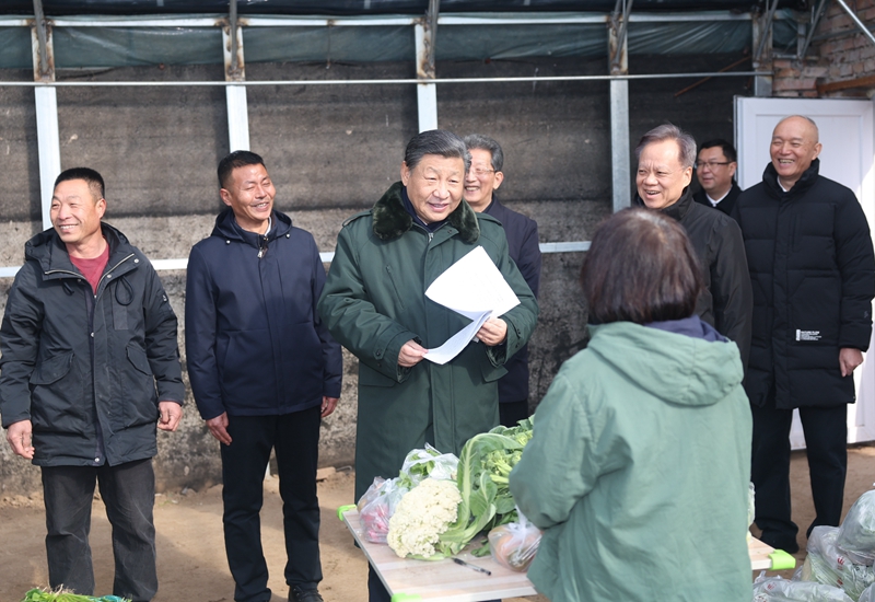 2024年2月1日，習(xí)近平總書記在天津市西青區(qū)辛口鎮(zhèn)第六埠村，走進(jìn)大棚同菜農(nóng)親切交流。