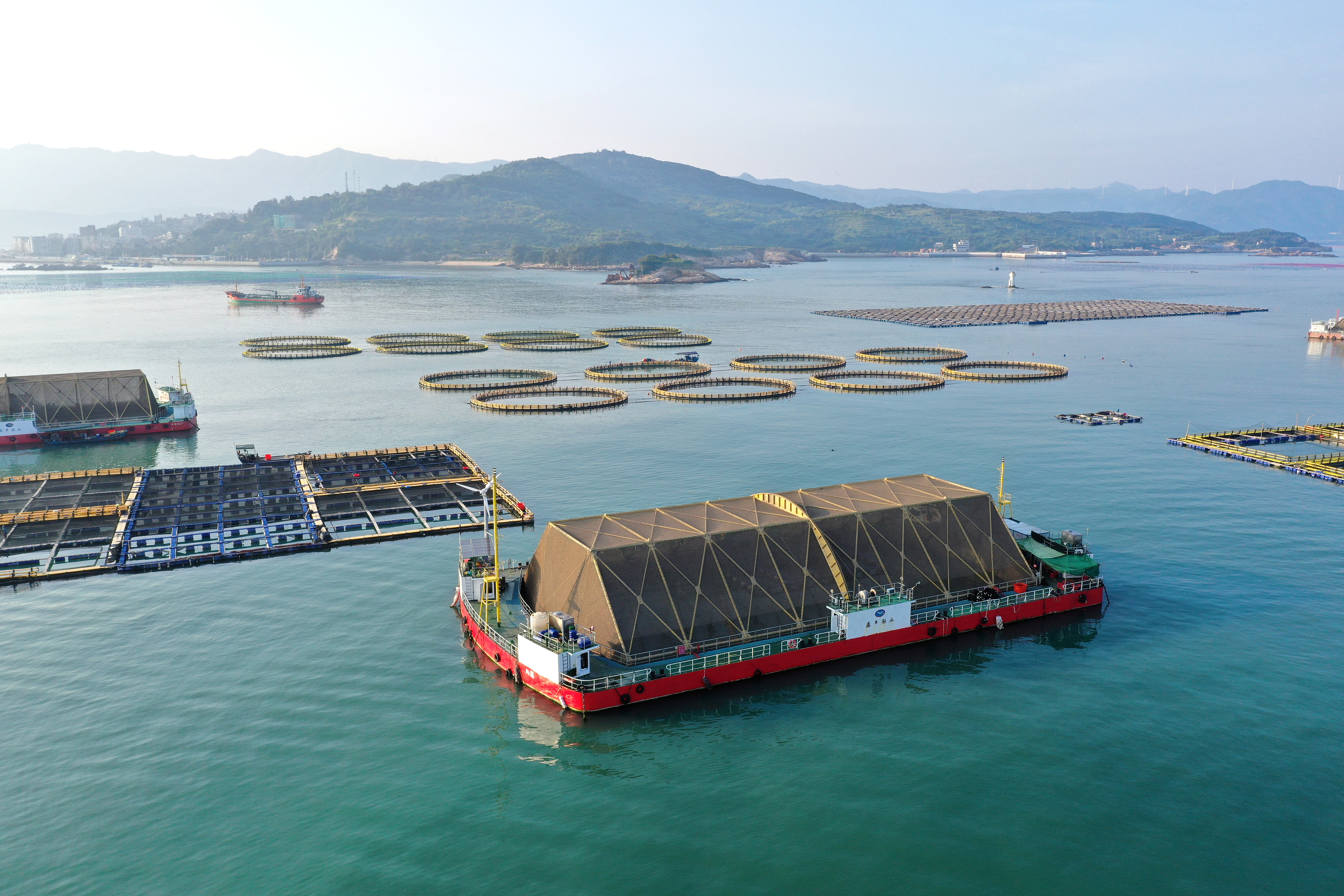 2024年9月10日拍攝的福建省福州市連江縣定海灣海域的現(xiàn)代化“海上糧倉”。