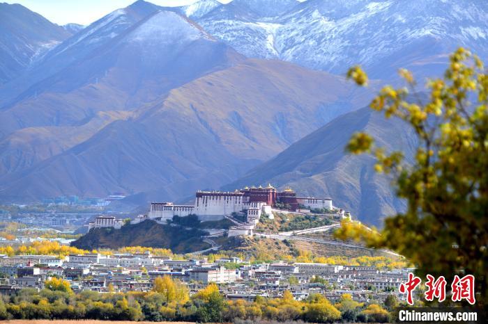 10月24日，雪山、布達拉宮和秋色組成“風景畫”。　江飛波 攝