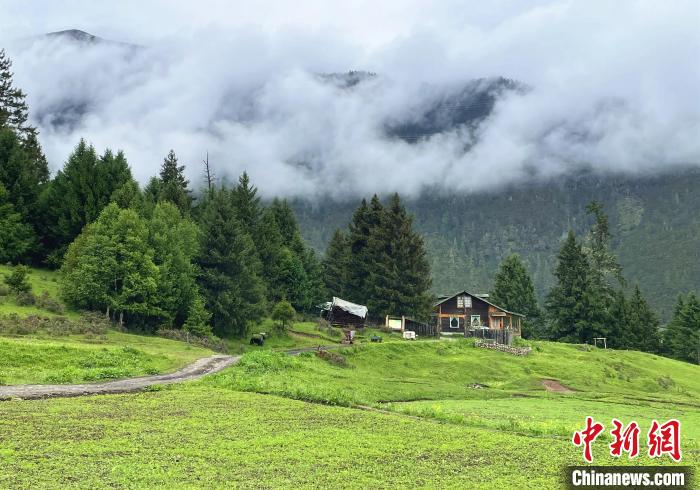 6月10日，魯朗小鎮(zhèn)高山牧場景區(qū)風(fēng)光?！∪轿木?攝