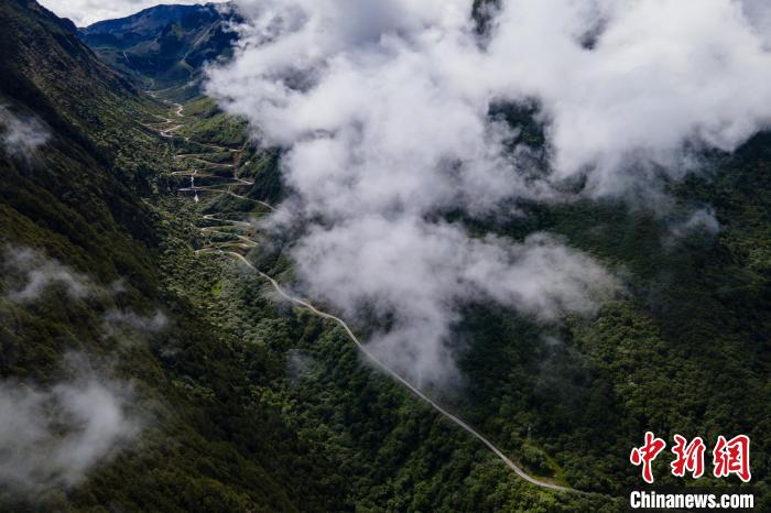 西藏山南勒布溝景區(qū)的盤(pán)山公路被云霧環(huán)繞?！〗w波 攝