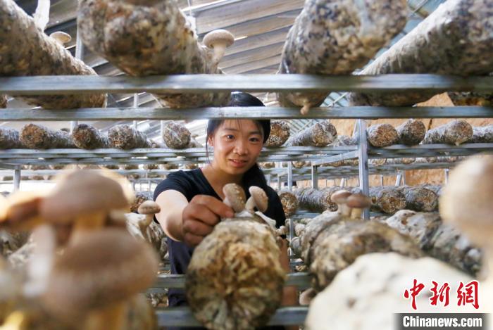 甘肅天?！跋愎椒蚱蕖毕律饺氪ǎ捍笈锢镉板X景”
