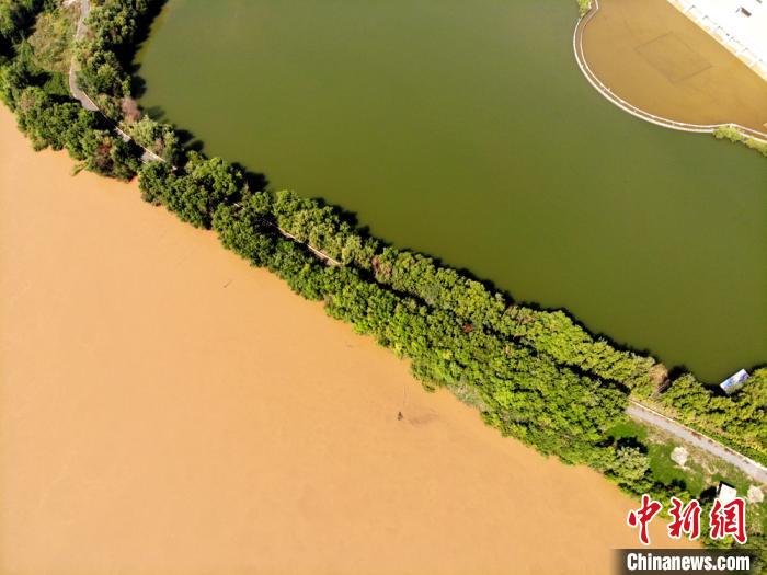 圖為2020年9月3日航拍黃河蘭州段濕地公園現(xiàn)黃河“鴛鴦鍋”。(資料圖) 高瑩 攝