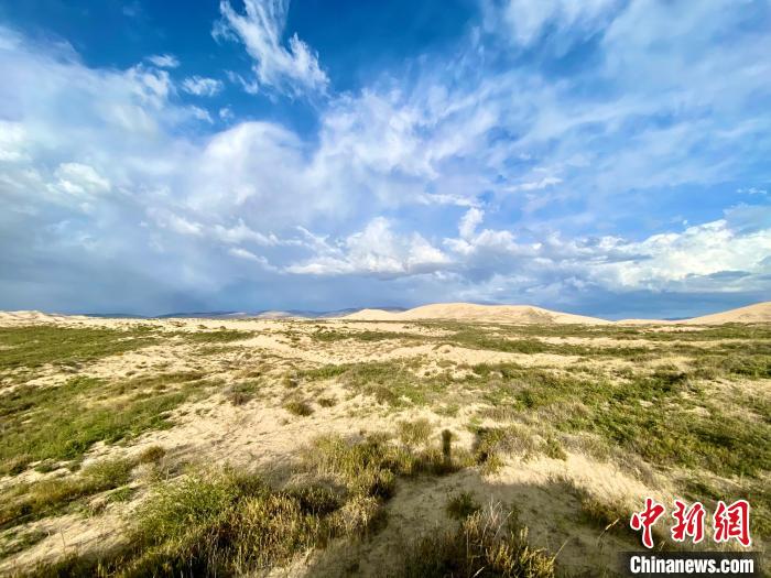 圖為關(guān)停四年后的沙島景區(qū)現(xiàn)狀。　李江寧 攝