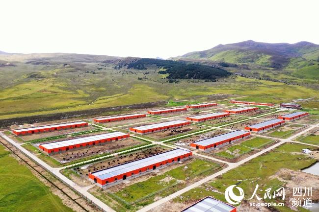 建設(shè)中的理塘縣牦牛產(chǎn)業(yè)園。葉強(qiáng)平攝