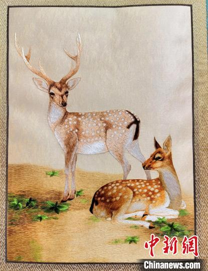 圖為藏繡作品?！∑钤鲚?攝