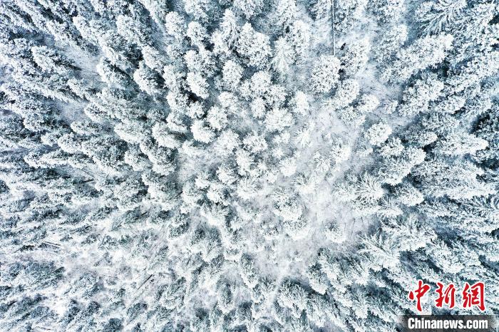 壤塘的雪后美景?！∪捞量h融媒體中心供圖