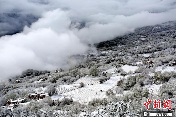 雪后的丹巴半山云霧繚繞?！±钣腊?攝