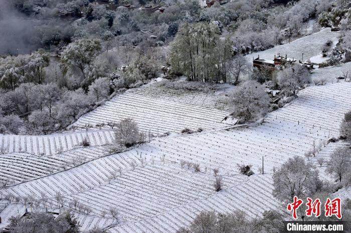 雪后的高山田間如畫。　李永安 攝