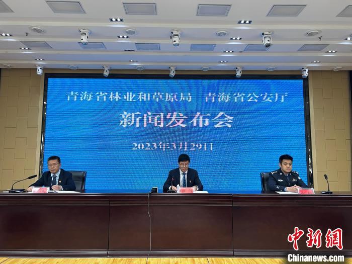 青海去年占用林地、草地準(zhǔn)予許可件同比實(shí)現(xiàn)“雙減”