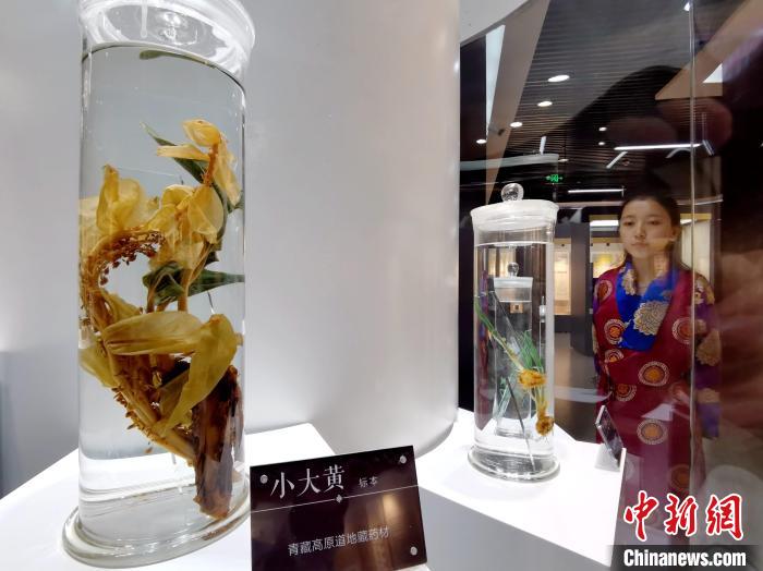 青海中藏醫(yī)藥發(fā)展提速：建設(shè)一批重點?？茖W(xué)科，推廣一批適宜技術(shù)