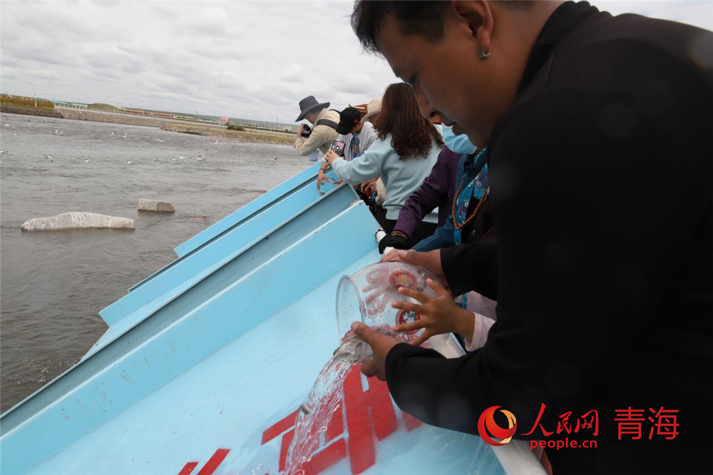 群眾放流青海湖裸鯉。人民網(wǎng) 陳明菊攝