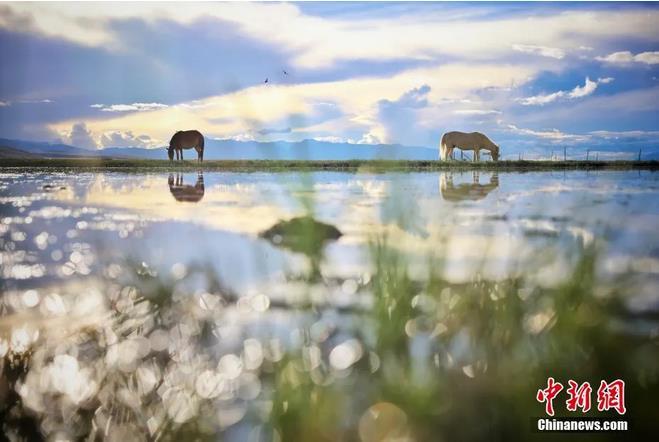 資料圖：那曲市申扎縣境內(nèi)的濕地。李雪峰 攝