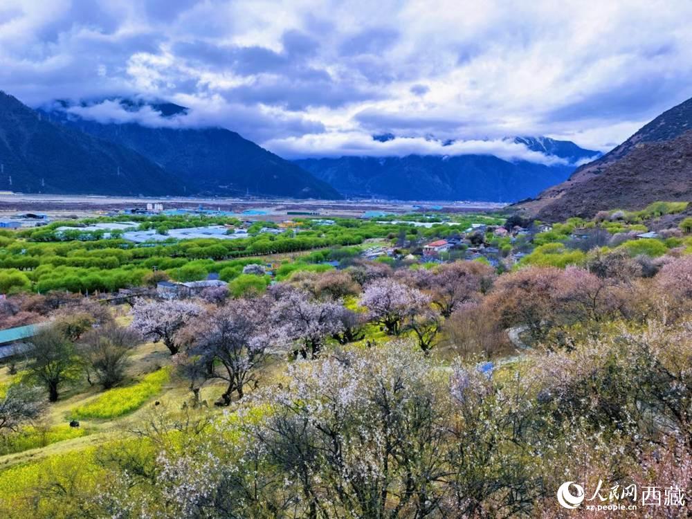 桃花從中的“童話小鎮(zhèn)”。人民網(wǎng) 李海霞攝