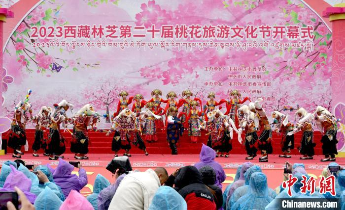 3月28日，西藏林芝第二十屆桃花旅游文化節(jié)開幕式上的文藝表演?！±盍?攝