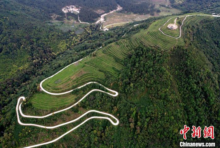 圖為西藏林芝市墨脫縣背崩鄉(xiāng)格林村山頂?shù)木坝^茶園。(無人機(jī)照片) 李林 攝