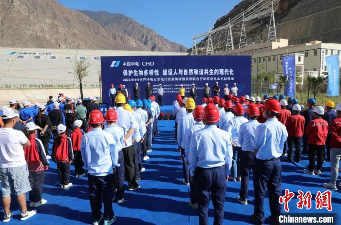 圖為蘇洼龍水電站魚類放流現(xiàn)場?！√K洼龍水電站供圖