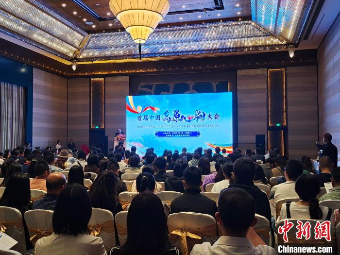 圖為首屆中國高原心胸大會現(xiàn)場?！☆D旦旺姆 攝
